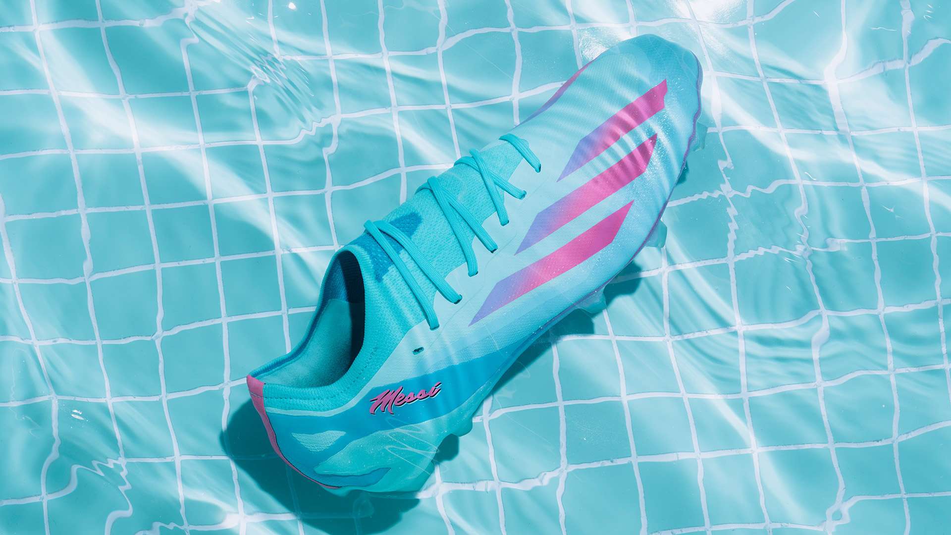 的背景下 的背景下